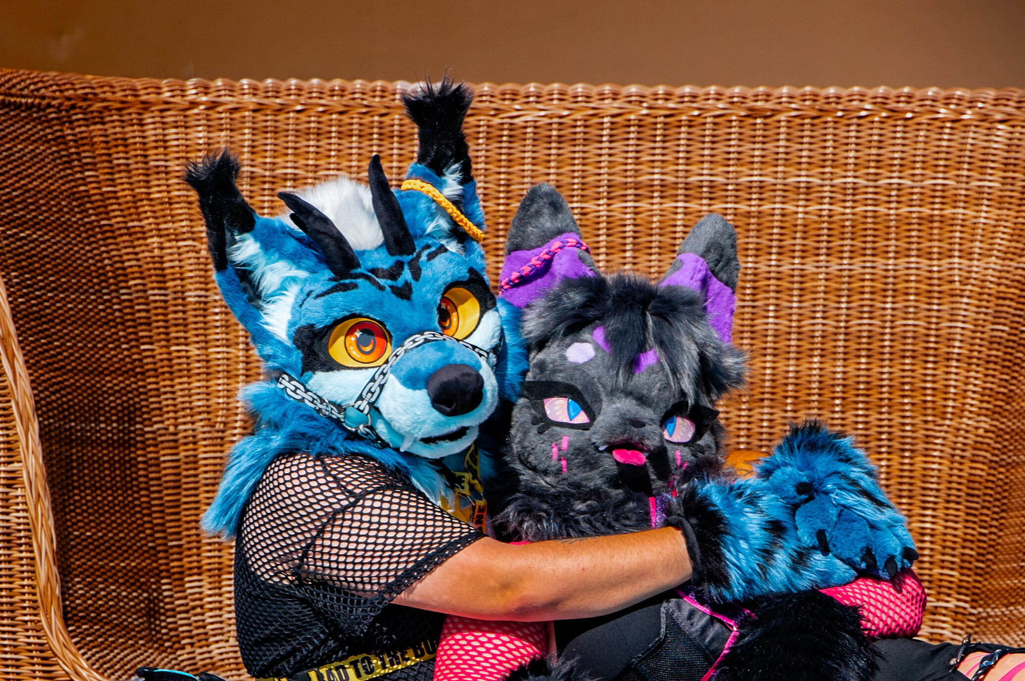 Ombra & Lex