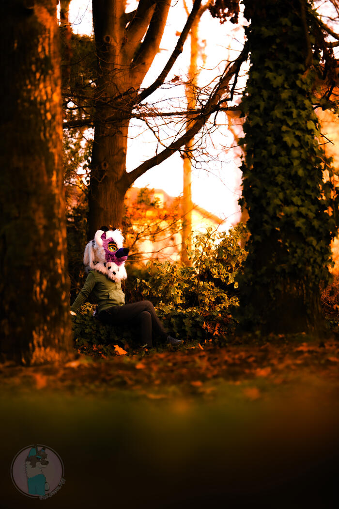 Untitled Untitled